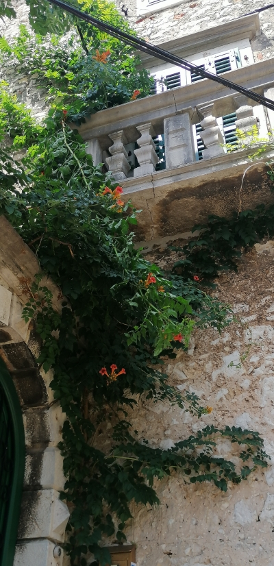 Rovinj...erkély