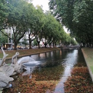 Königsallee