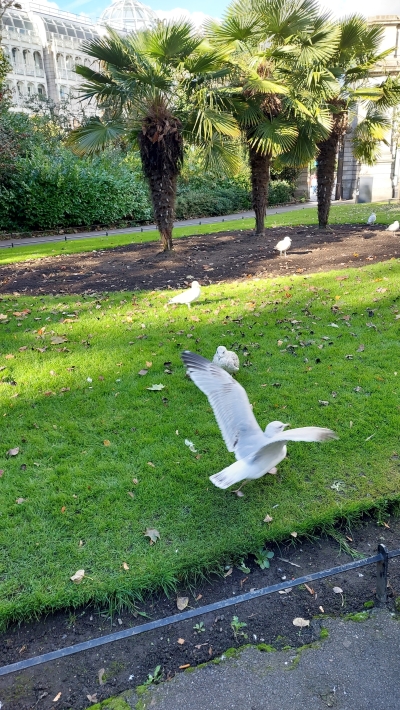 St. Stephen&#039;s Green