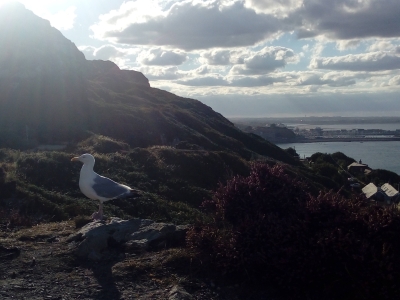 Howth