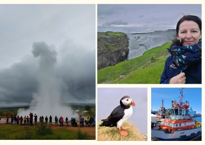 Gamification in Iceland