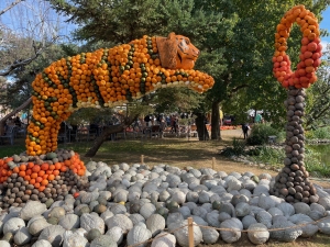 Weiterstadt Kürbisfest
