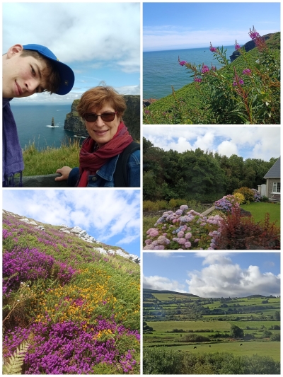 Sustainability and Environment in Education - Dublin, 2023