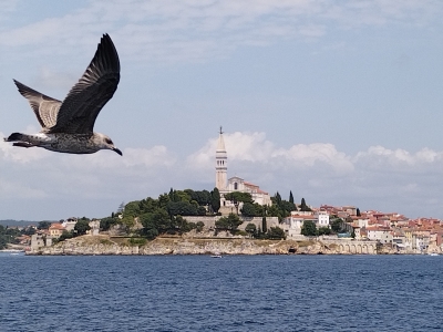 Rovinj